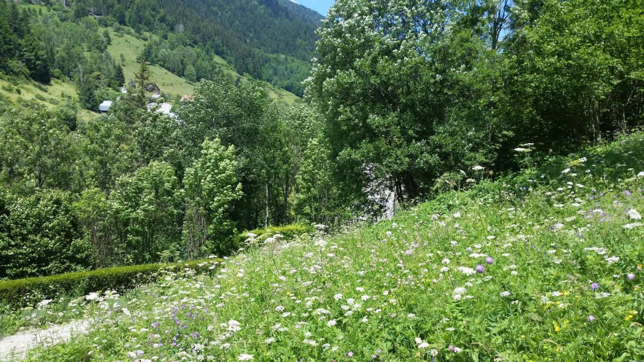 شقة Le Postillon - Duo Saint-Pierre-d'Entremont  المظهر الخارجي الصورة